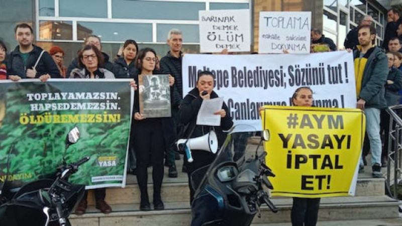 Hayvanseverler Maltepe Belediyesi’ni protesto etti